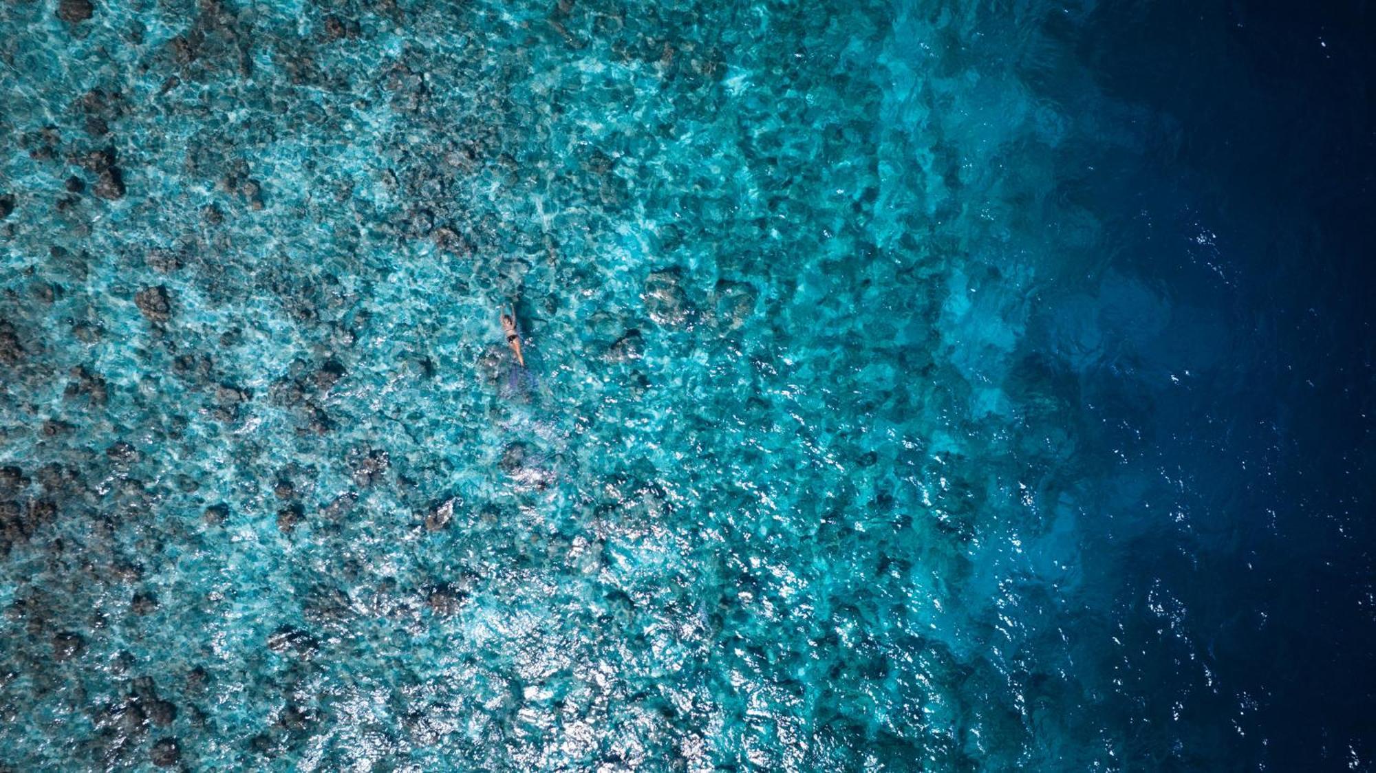 Aloha Inn Himmafushi Eksteriør bilde